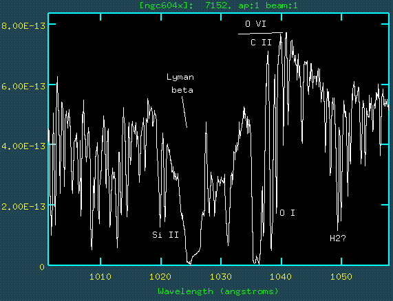 FUSE spectrum of NGC 604 in M33