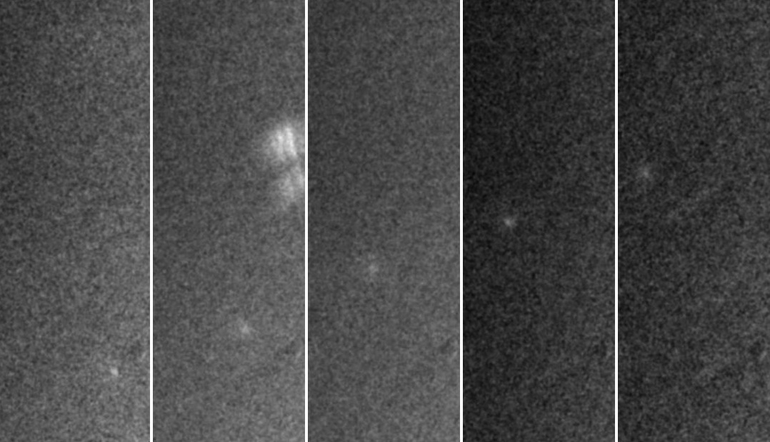 Comet PANNSTARRS in daylight, 7 March 2013