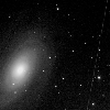 UA Observatory image of M81 and near-Earth asteroid