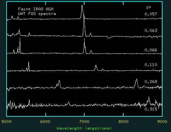 WHT spectra of faint IRAS AGN