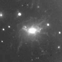 NGC 1275 H-alpha filaments